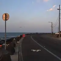 Дороги